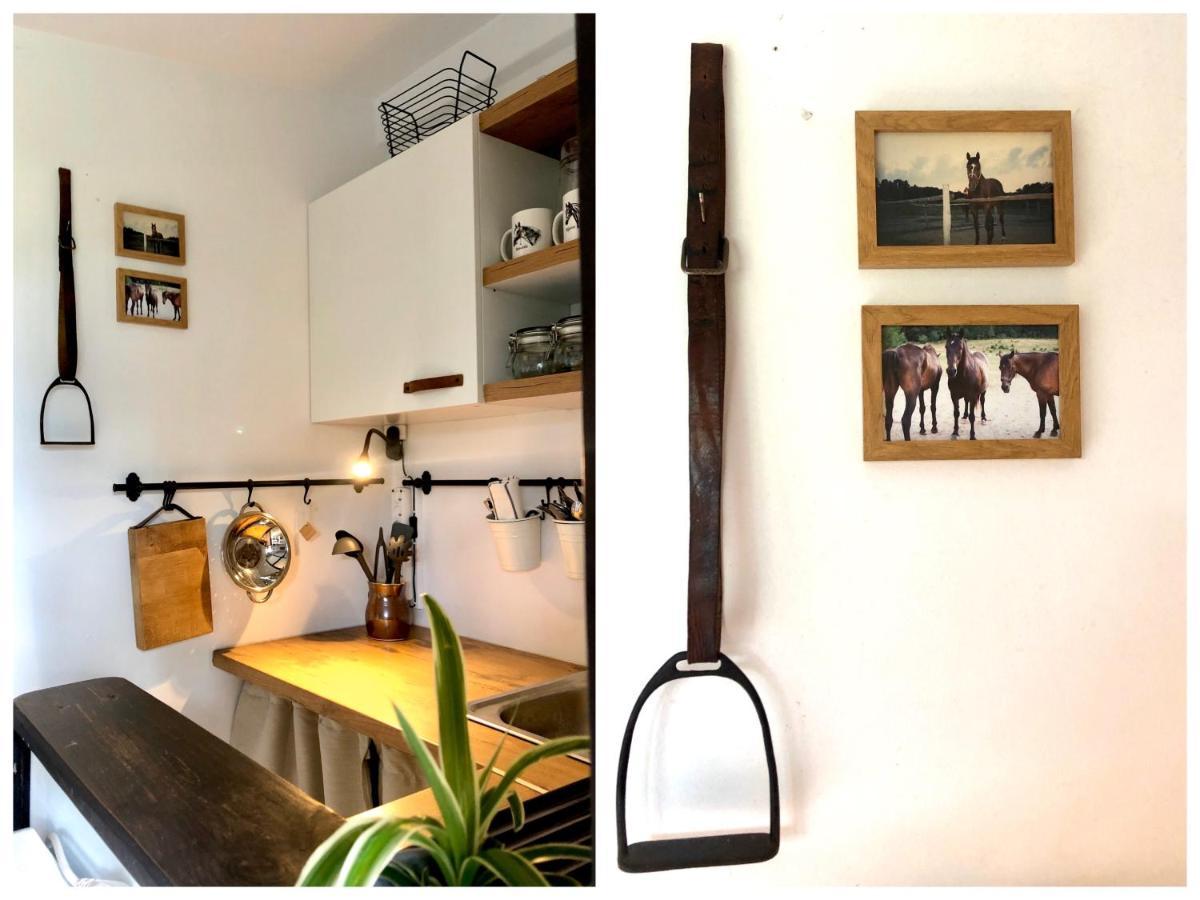 Apartamenty Lajkonik Dąbrówno Eksteriør bilde